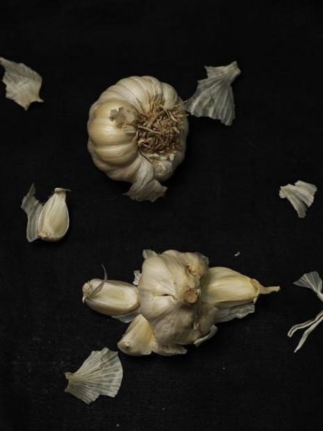 parenteral nutrition pdf